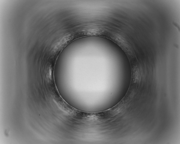 X0000101190310200807071321