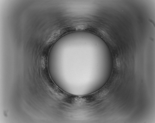 X0000101190311200807071321