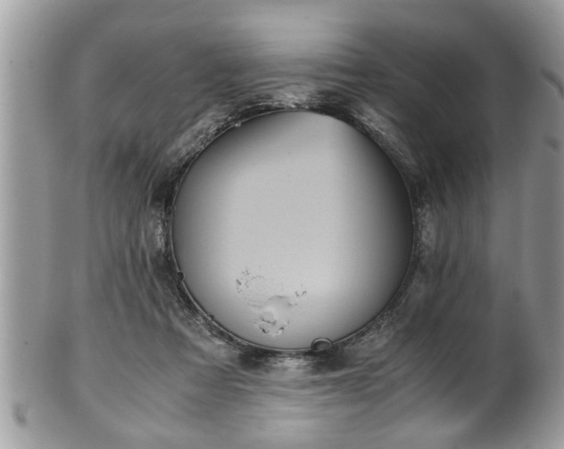 X0000101190313200807071321