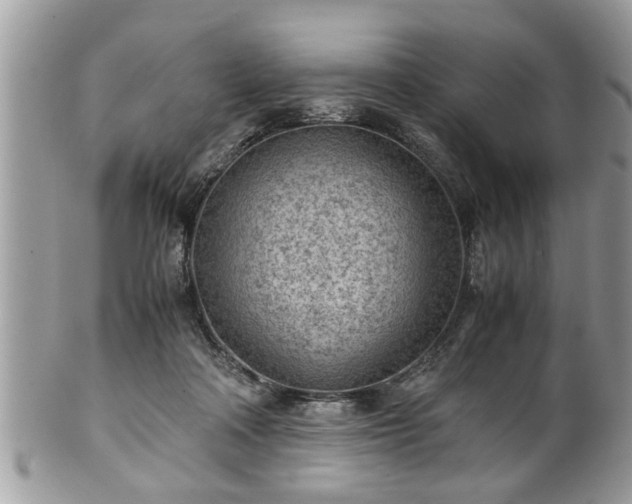 X0000101190314200807071321