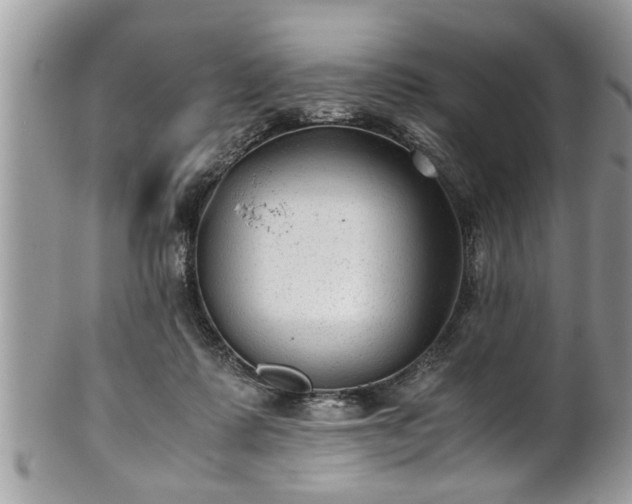 X0000101190315200807071321