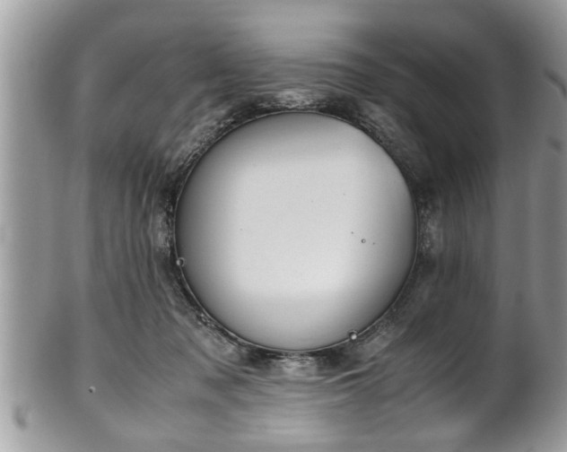 X0000101190317200807071321