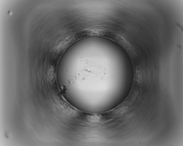 X0000101190318200807071321