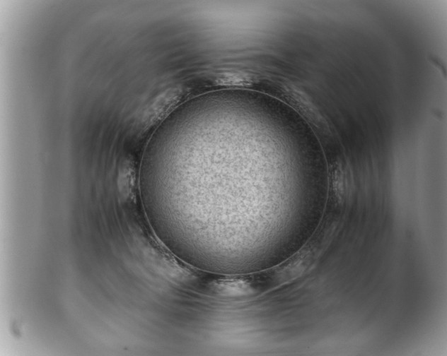 X0000101190322200807071321