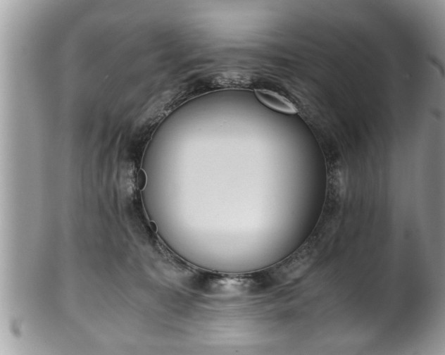 X0000101190323200807071321