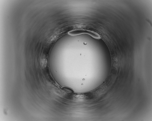 X0000101190324200807071321