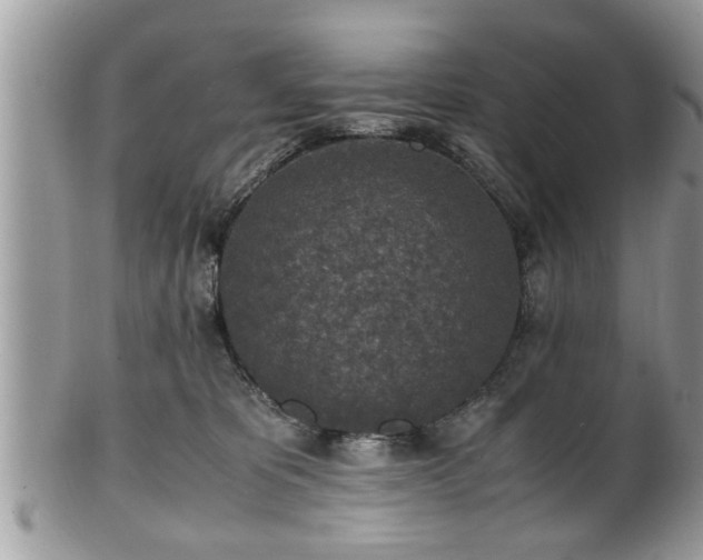X0000101190325200807071321