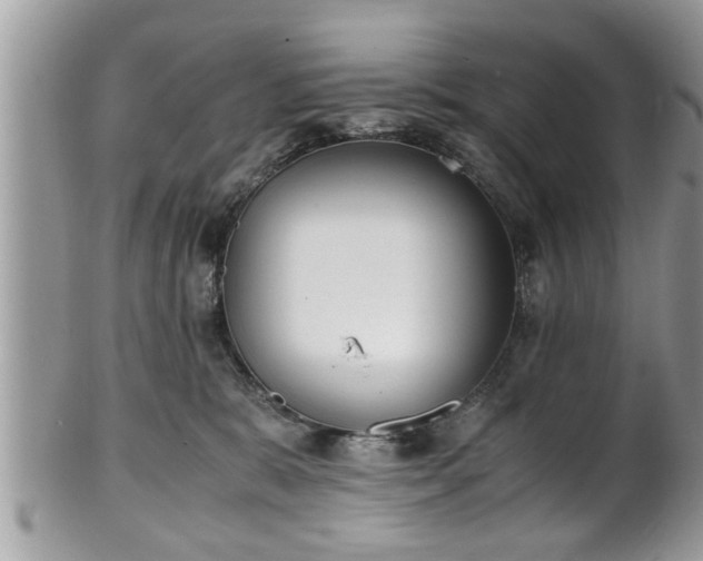 X0000101190327200807071321