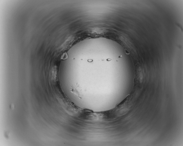 X0000101190328200807071321