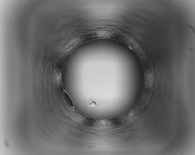 X0000101190329200807071321