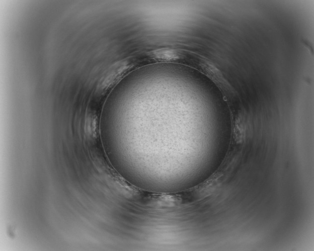 X0000101190330200807071321
