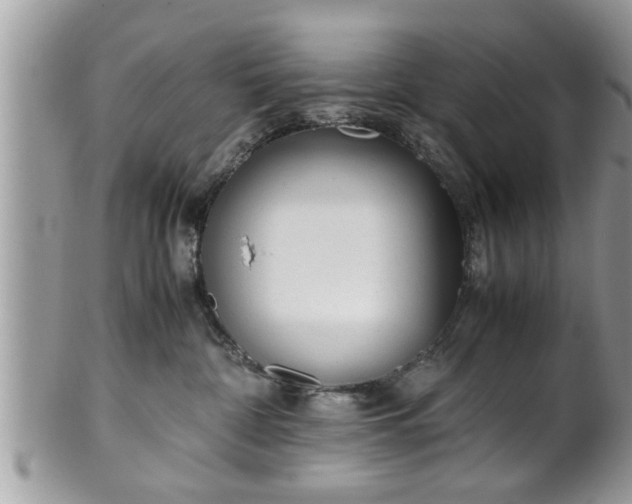 X0000101190332200807071321
