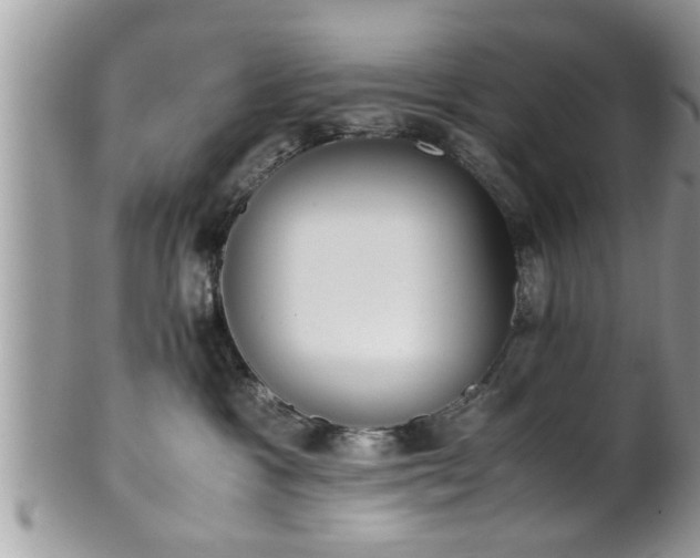 X0000101190333200807071321