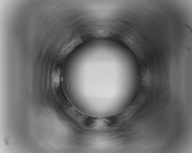 X0000101190334200807071321