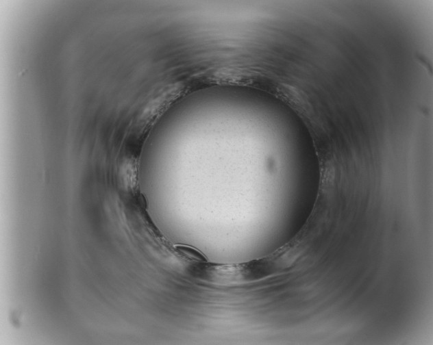 X0000101190335200807071321