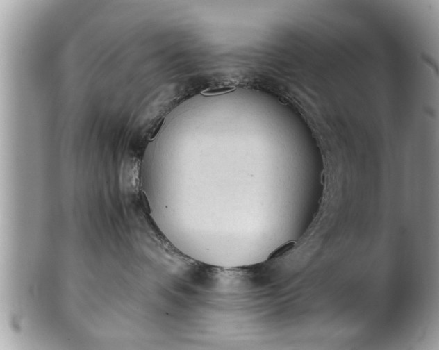X0000101190336200807071321