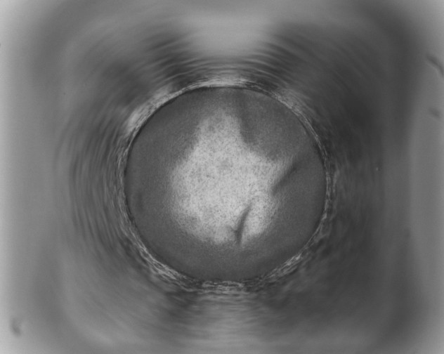 X0000101190337200807071320