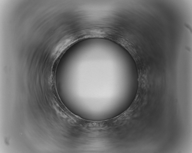 X0000101190338200807071320