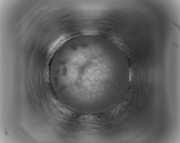 X0000101190339200807071320