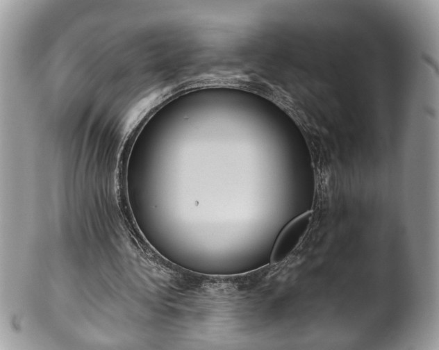 X0000101190340200807071320