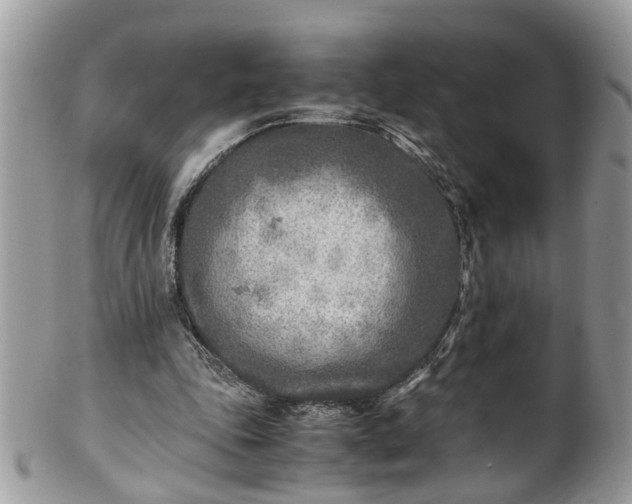 X0000101190343200807071320