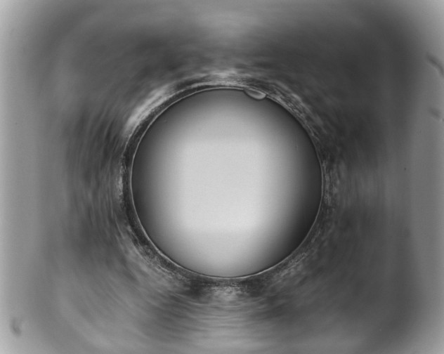 X0000101190344200807071320
