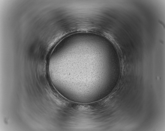 X0000101190346200807071320