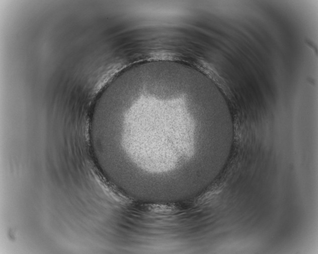 X0000101190347200807071320