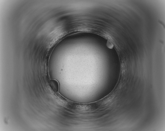 X0000101190349200807071320