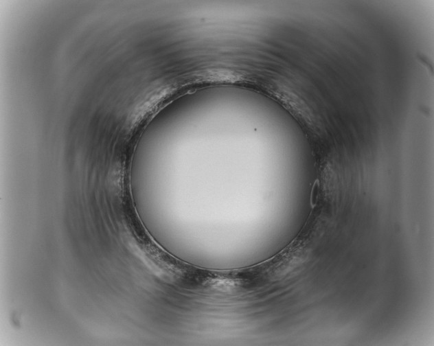 X0000101190352200807071320