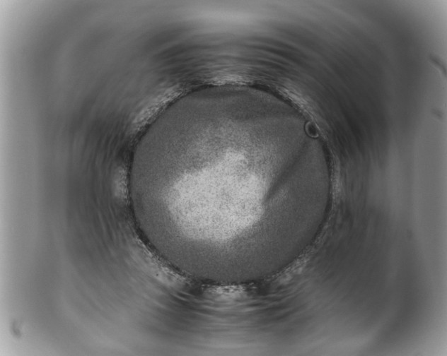 X0000101190353200807071320