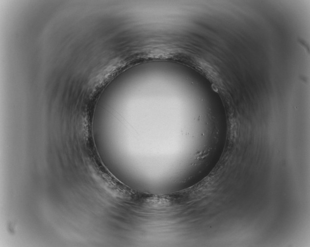 X0000101190354200807071320