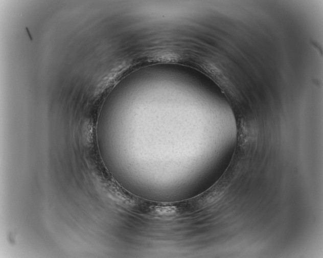 X0000101190355200807071320