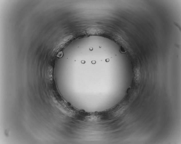 X0000101190356200807071320
