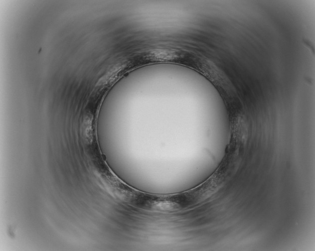 X0000101190360200807071320