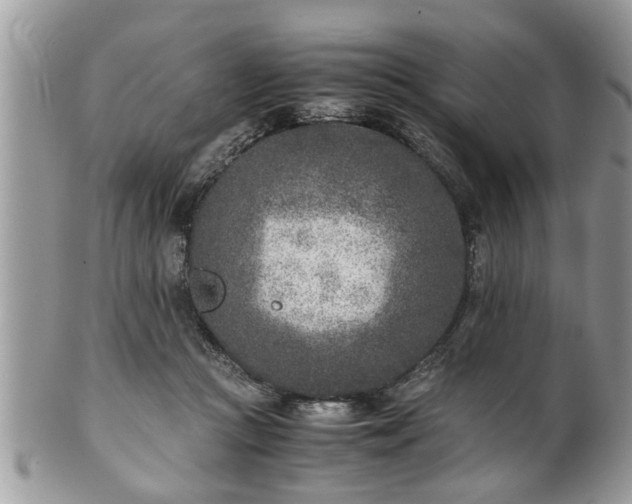 X0000101190361200807071320