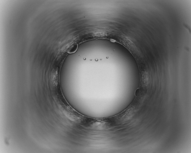 X0000101190364200807071320