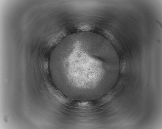 X0000101190365200807071320