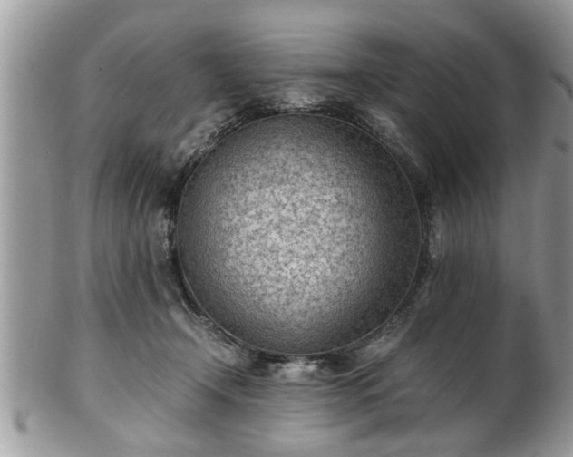 X0000101190366200807071320