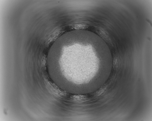X0000101190367200807071320