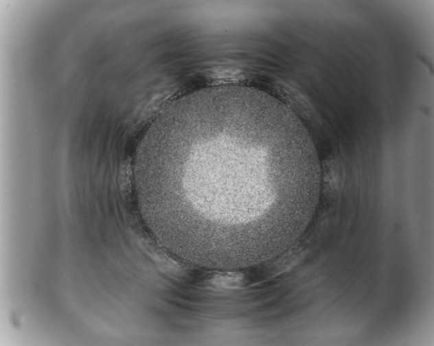 X0000101190369200807071320