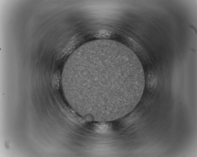 X0000101190370200807071320