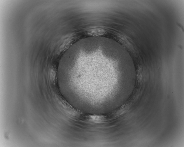 X0000101190371200807071320