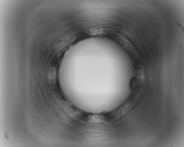 X0000101190372200807071320