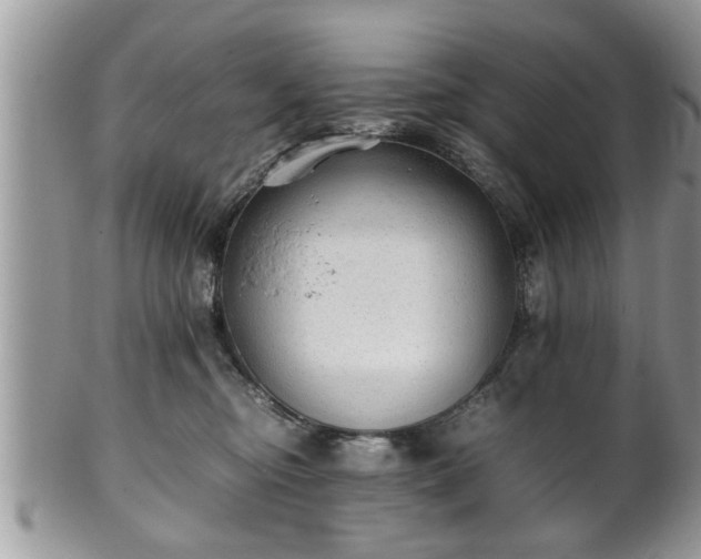 X0000101190374200807071320