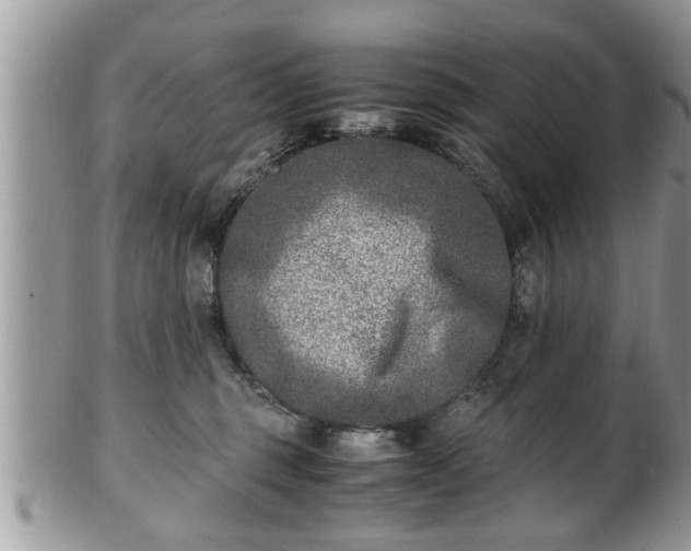 X0000101190375200807071320