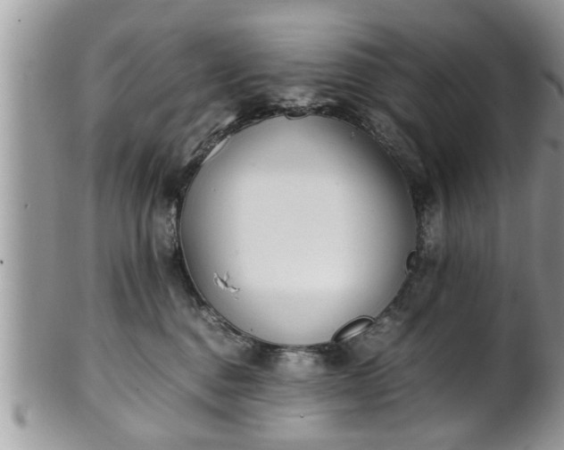 X0000101190376200807071320
