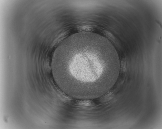 X0000101190377200807071320