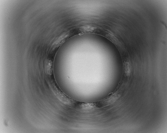 X0000101190378200807071320