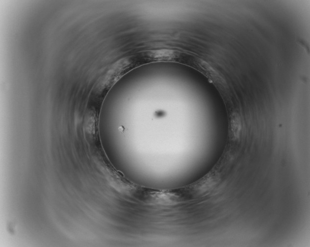 X0000101190379200807071321